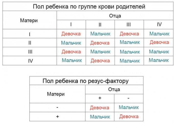 Планирование пола ребенка по группе крови родителей