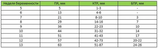Норма УЗИ 1 триместра беременности