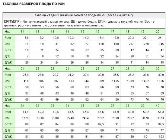 Размеры плода по УЗИ