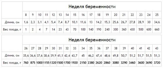 Размер плода по неделям