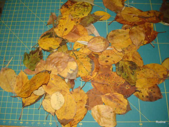 Делаем необычную открытку с осенними листьями, фото № 1
