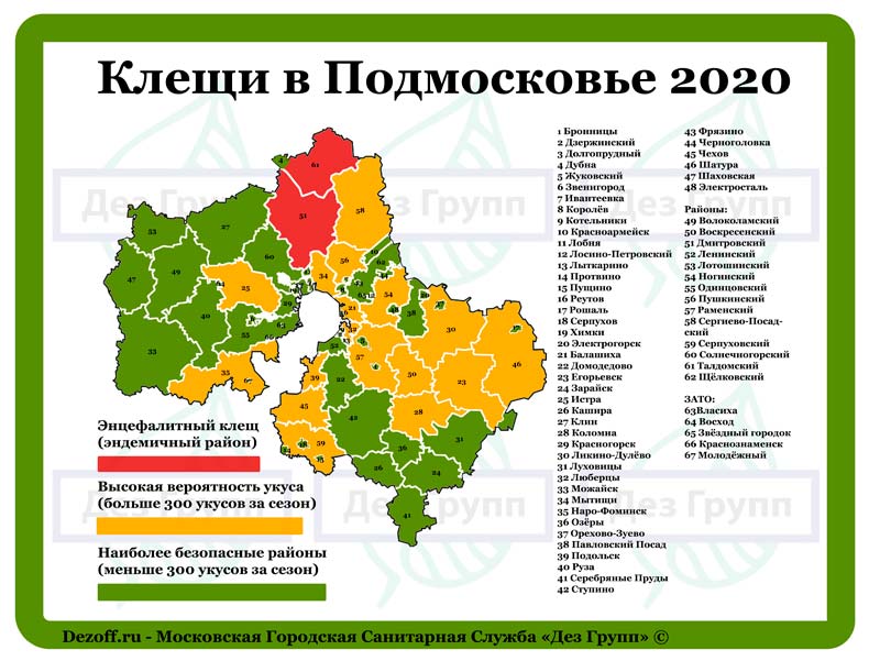 Клещи в Подмосковье 2020: карта опасных районов