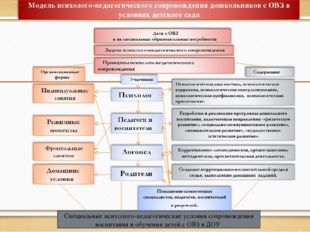 Специальные психолого-педагогические условия сопровождения воспитания и обуче