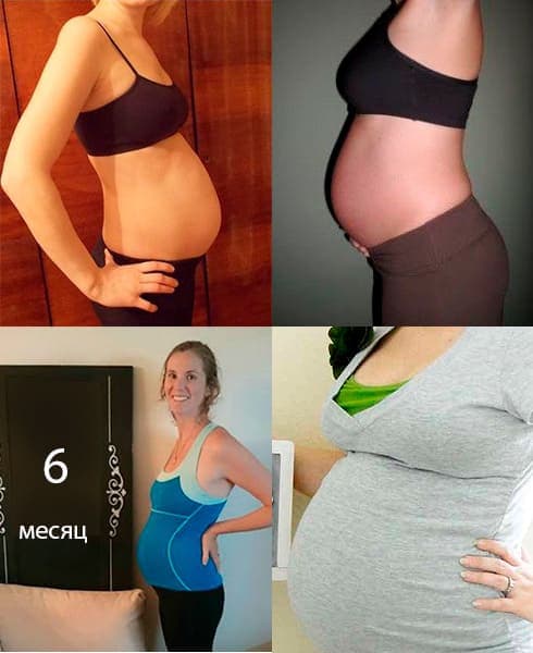 живот в 6 месяцев беременности фото