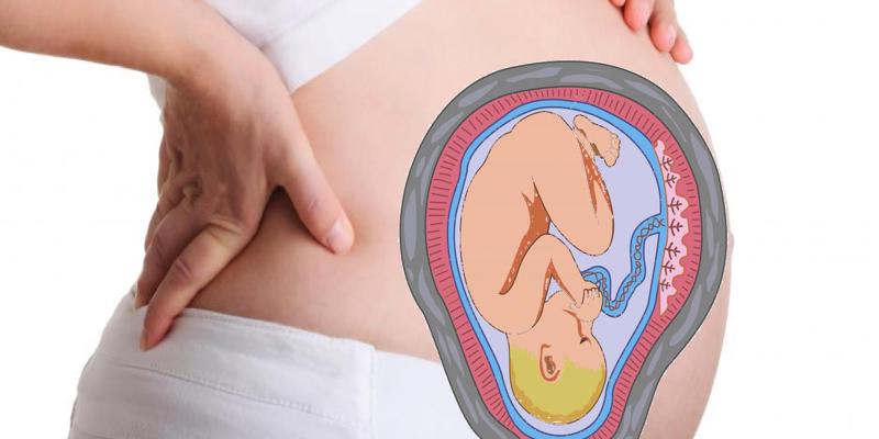 размер живота во время беременности