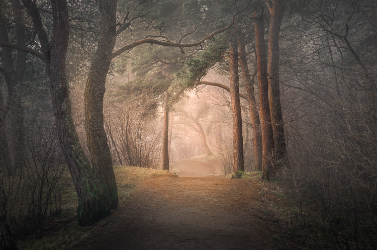 photo by Dag Ole Nordhaug