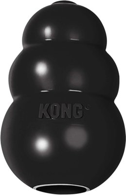 Rubber Kong Toy