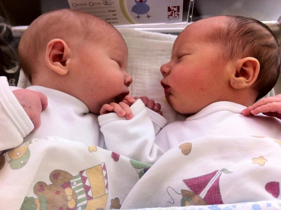 Новорожденные двойняшки в роддоме