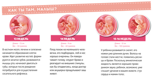 Измененияво время  беременности