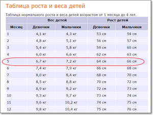 Вес 5-месячного малыша