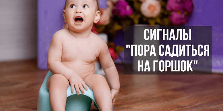 Пора садиться на горшок