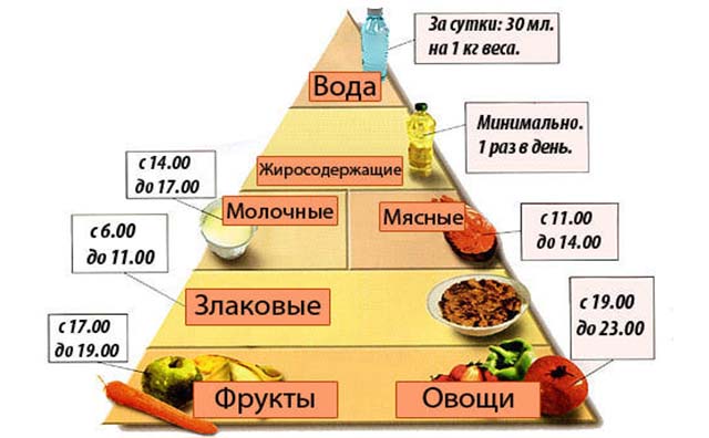 Пирамида питания