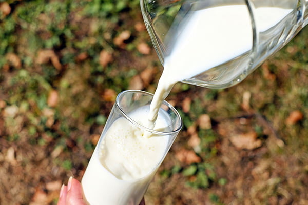 Свежее молоко наливают в стакан