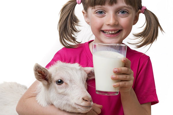 Девочка пьет козье молоко