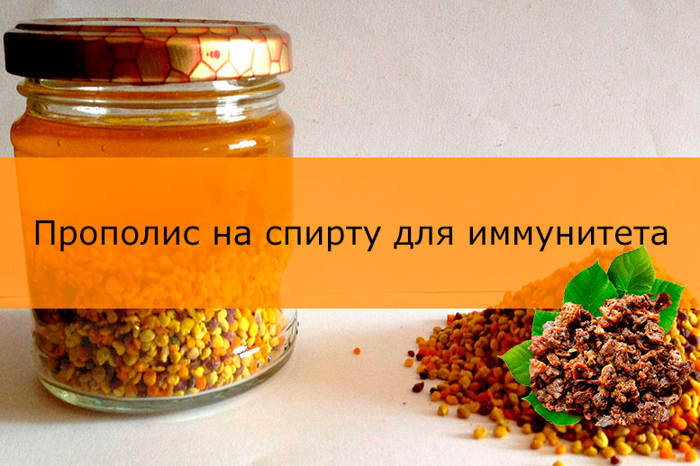 Прополис на спирту для иммунитета