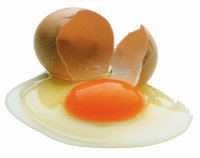 Мойка и дезинфекция столового яйца