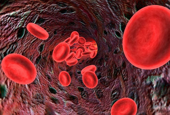Как поднять гемоглобин