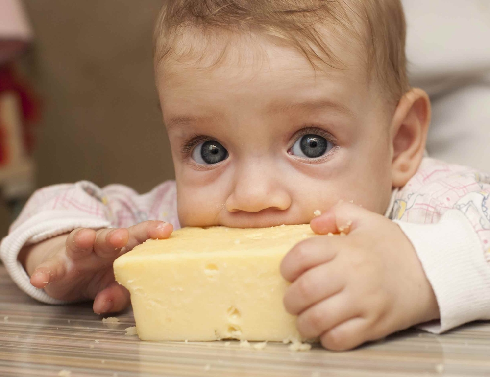 с какого возраста можно давать ребенку сыр правила прикорма