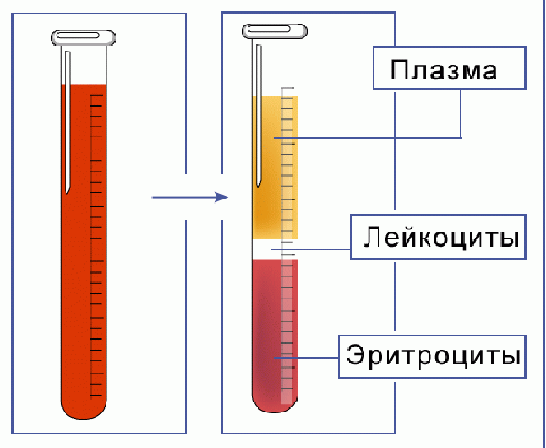 Измерение СОЭ