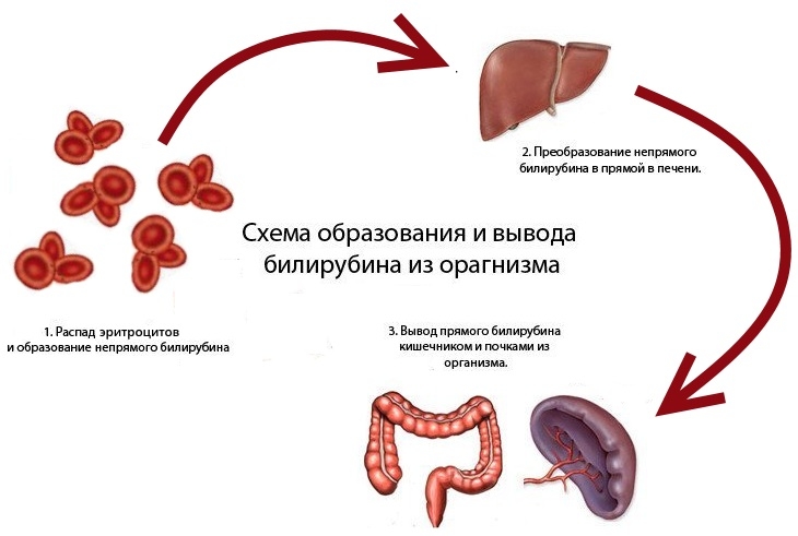 Обзор детских смесей для вскармливания новорожденных