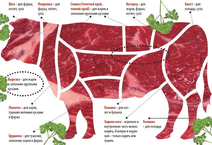 Как выбрать говядину