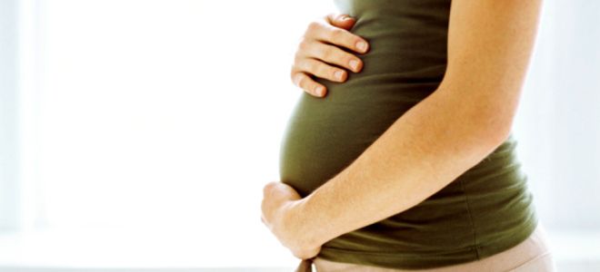 беременность 23 недели развитие