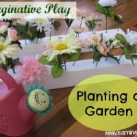 Imaginative Play - Planting a Garden