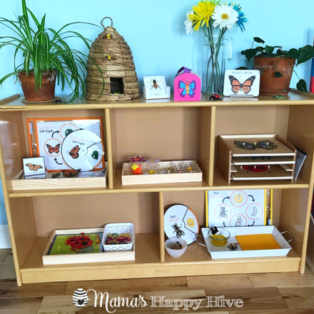 Step into our home and see how our Montessori homeschool space has morphed over time from the unfinished basement to the family room. Also, information about our Montessori inspired monthly co-op and set-up with materials. - www.mamashappyhive.com