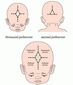 Роднички на головке у новорожденного ребенка