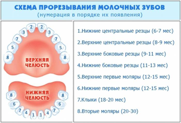 как режутся зубы у детей первые признаки прорезания 