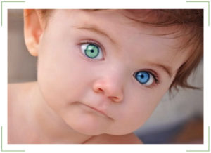 Когда меняется цвет глаз у новорожденных