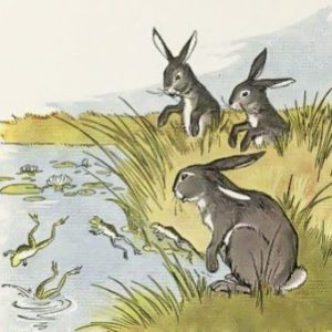 Зайцы и лягушки